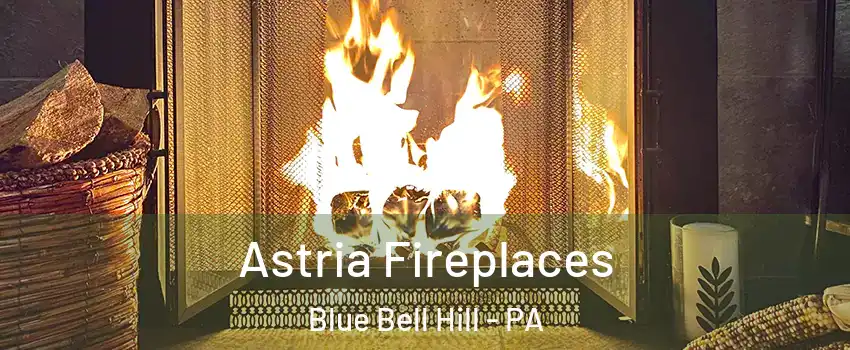 Astria Fireplaces Blue Bell Hill - PA
