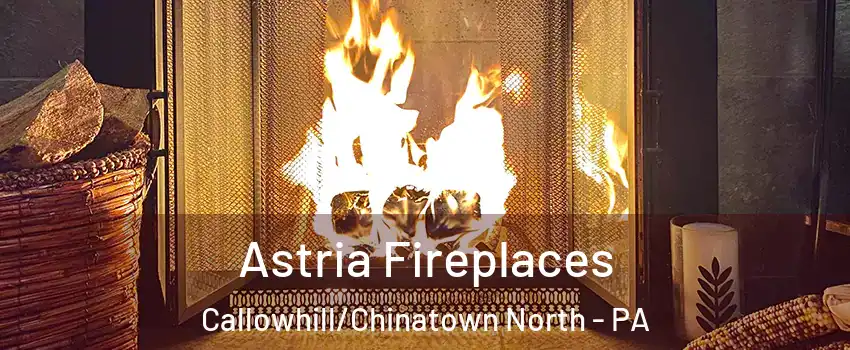 Astria Fireplaces Callowhill/Chinatown North - PA