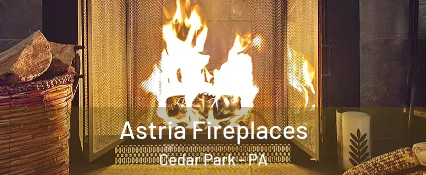 Astria Fireplaces Cedar Park - PA
