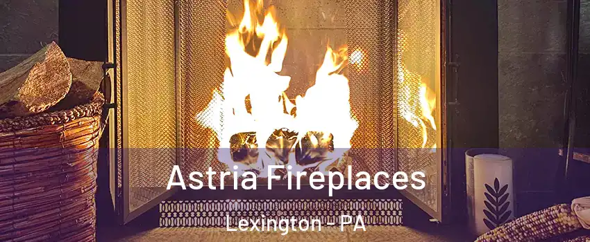 Astria Fireplaces Lexington - PA