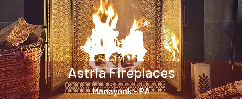 Astria Fireplaces Manayunk - PA