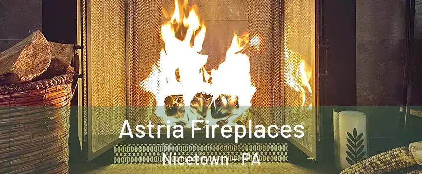 Astria Fireplaces Nicetown - PA