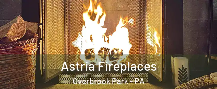 Astria Fireplaces Overbrook Park - PA