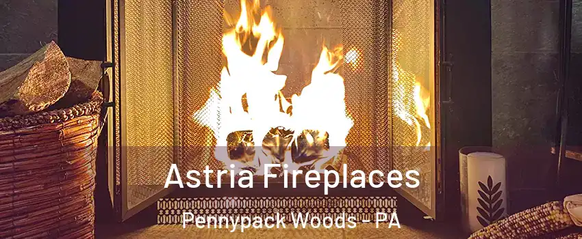 Astria Fireplaces Pennypack Woods - PA