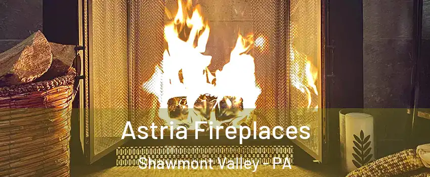 Astria Fireplaces Shawmont Valley - PA