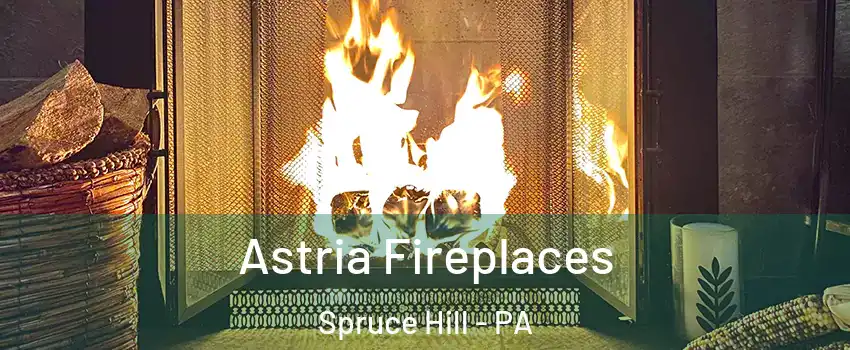 Astria Fireplaces Spruce Hill - PA