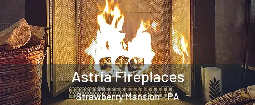 Astria Fireplaces Strawberry Mansion - PA