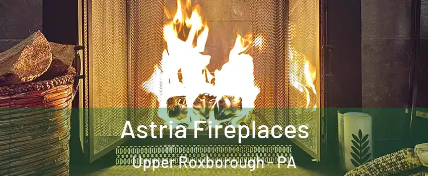 Astria Fireplaces Upper Roxborough - PA