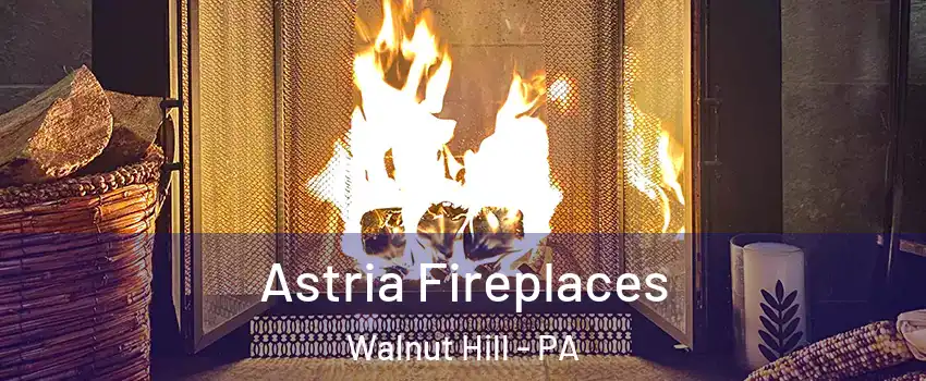 Astria Fireplaces Walnut Hill - PA