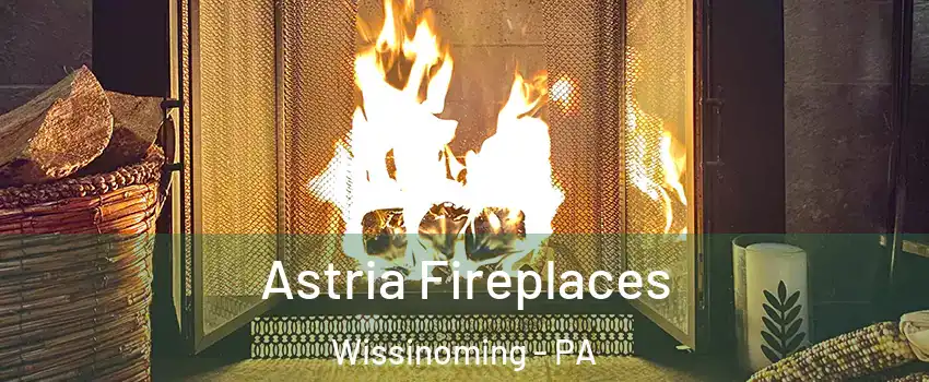 Astria Fireplaces Wissinoming - PA