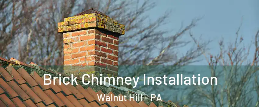 Brick Chimney Installation Walnut Hill - PA