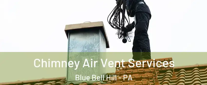 Chimney Air Vent Services Blue Bell Hill - PA