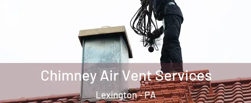 Chimney Air Vent Services Lexington - PA