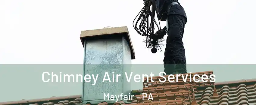 Chimney Air Vent Services Mayfair - PA