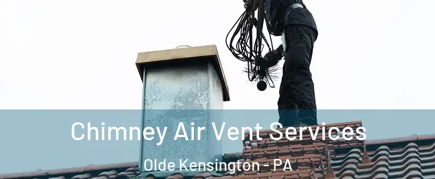 Chimney Air Vent Services Olde Kensington - PA