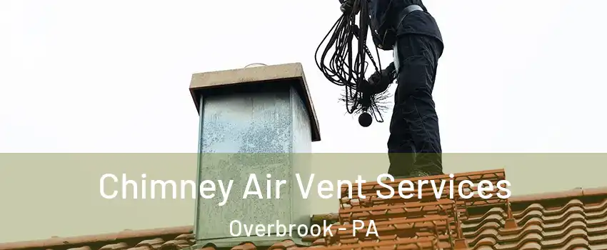 Chimney Air Vent Services Overbrook - PA