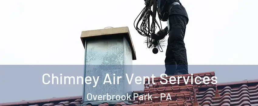 Chimney Air Vent Services Overbrook Park - PA