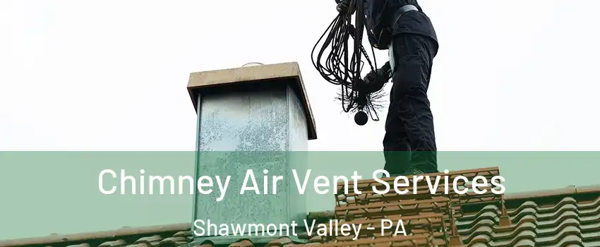Chimney Air Vent Services Shawmont Valley - PA