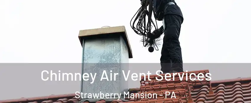 Chimney Air Vent Services Strawberry Mansion - PA
