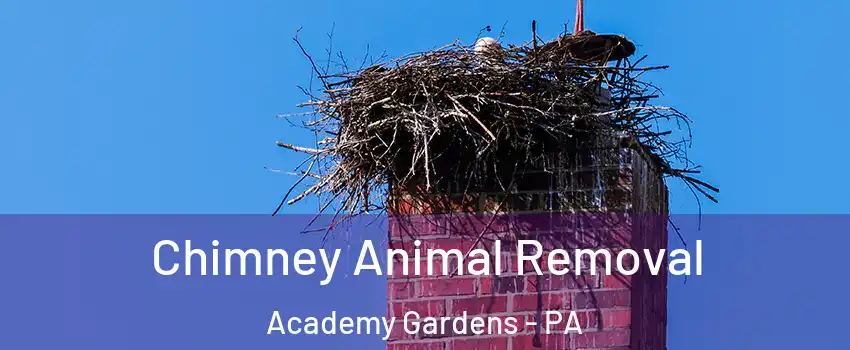 Chimney Animal Removal Academy Gardens - PA