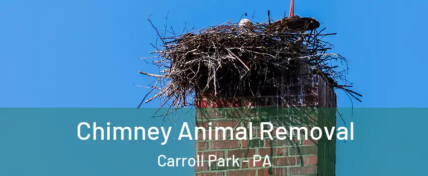 Chimney Animal Removal Carroll Park - PA