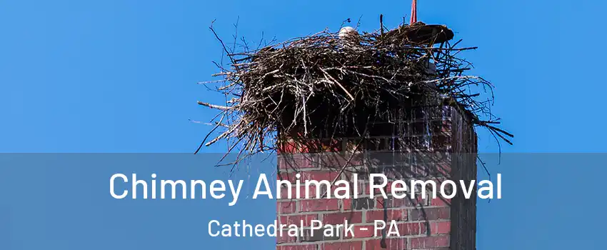 Chimney Animal Removal Cathedral Park - PA