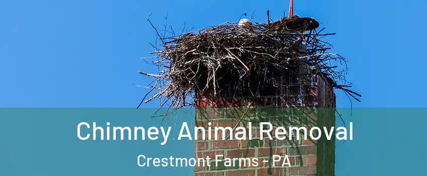 Chimney Animal Removal Crestmont Farms - PA