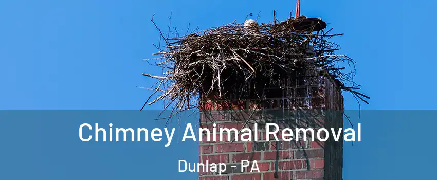Chimney Animal Removal Dunlap - PA
