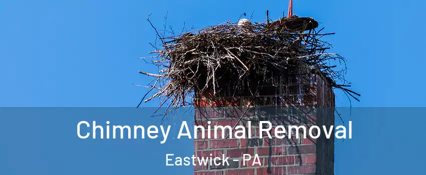 Chimney Animal Removal Eastwick - PA
