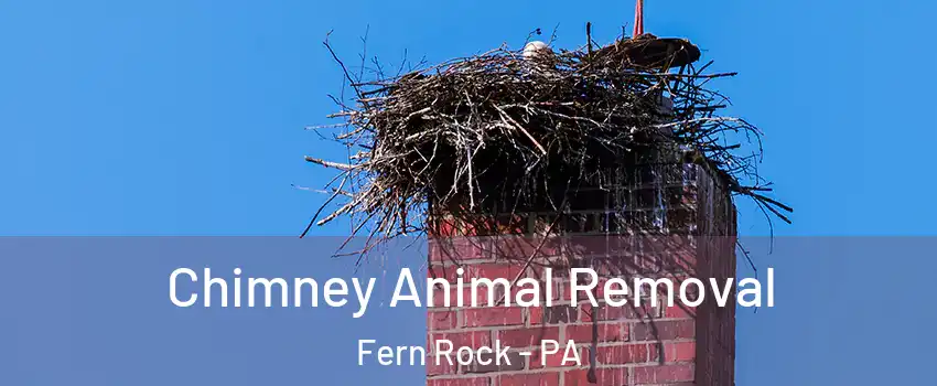 Chimney Animal Removal Fern Rock - PA