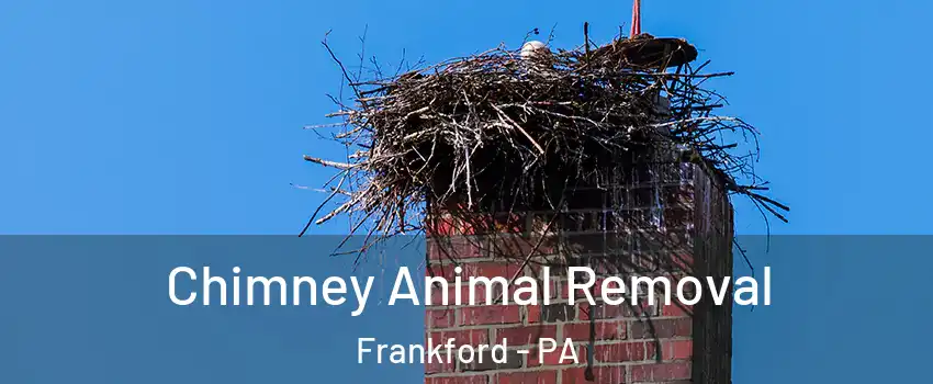 Chimney Animal Removal Frankford - PA