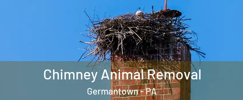 Chimney Animal Removal Germantown - PA