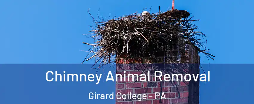 Chimney Animal Removal Girard College - PA