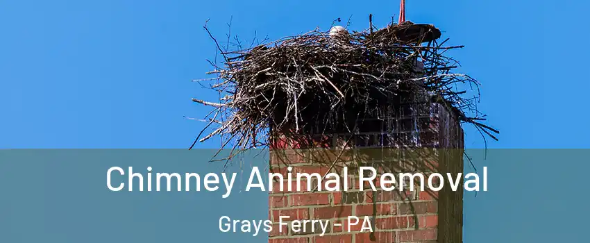 Chimney Animal Removal Grays Ferry - PA
