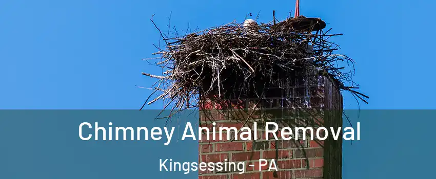 Chimney Animal Removal Kingsessing - PA