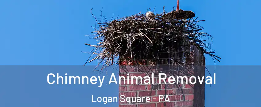 Chimney Animal Removal Logan Square - PA