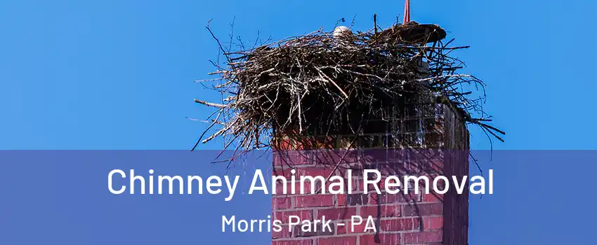 Chimney Animal Removal Morris Park - PA