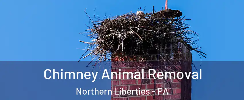 Chimney Animal Removal Northern Liberties - PA