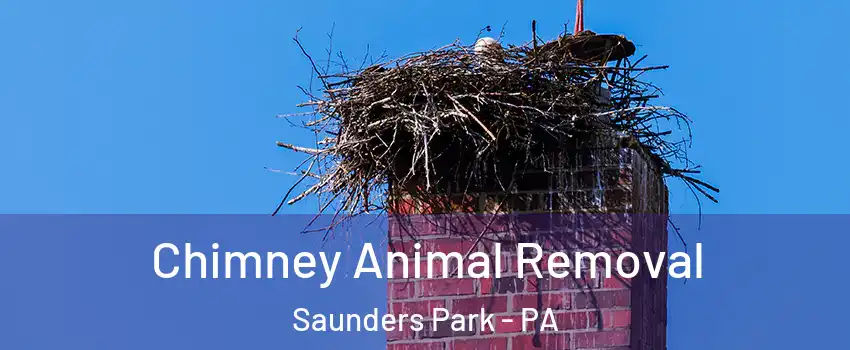 Chimney Animal Removal Saunders Park - PA