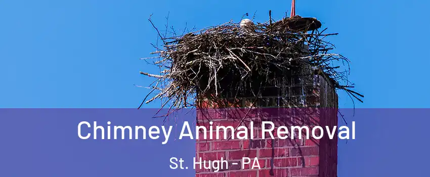 Chimney Animal Removal St. Hugh - PA