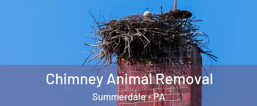 Chimney Animal Removal Summerdale - PA