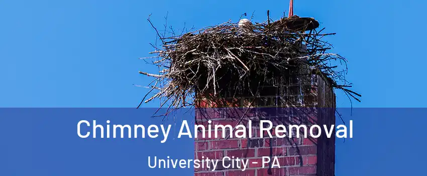 Chimney Animal Removal University City - PA