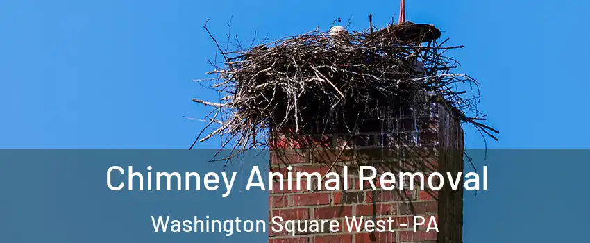 Chimney Animal Removal Washington Square West - PA