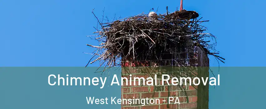 Chimney Animal Removal West Kensington - PA