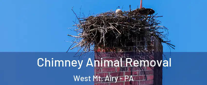 Chimney Animal Removal West Mt. Airy - PA