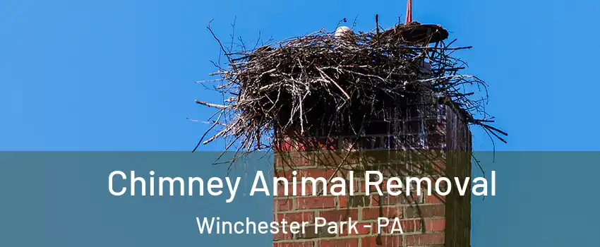 Chimney Animal Removal Winchester Park - PA