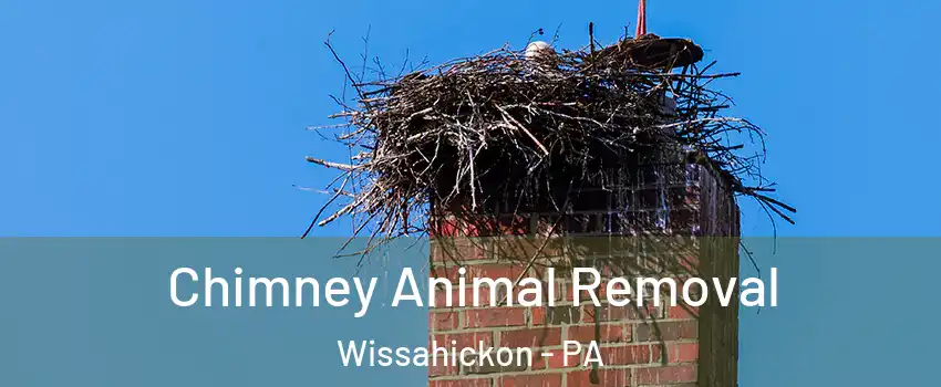 Chimney Animal Removal Wissahickon - PA