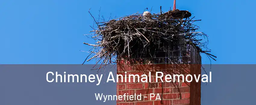 Chimney Animal Removal Wynnefield - PA