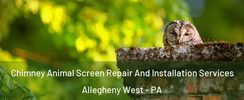 Chimney Animal Screen Repair And Installation Services Allegheny West - PA