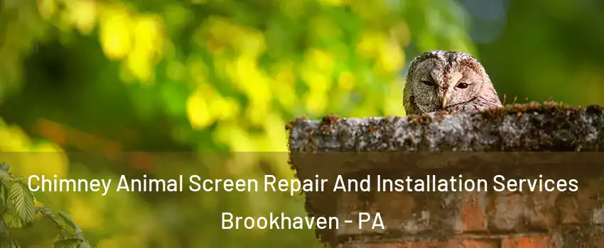Chimney Animal Screen Repair And Installation Services Brookhaven - PA